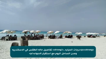 <p><strong>درجات الحرارة..</strong> تفاصيل حالة الطقس في الإسكندرية ومدن الساحل اليوم مع استقرار الأجواء</p>